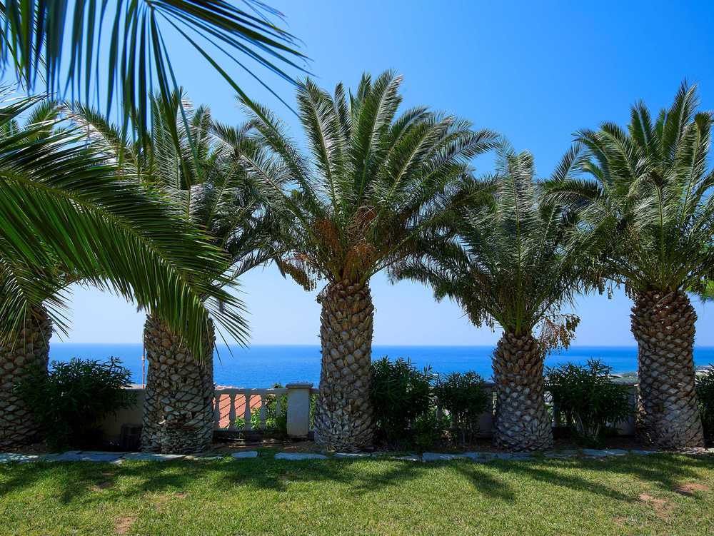 Aroma Creta Hotel Koutsounari Interior photo